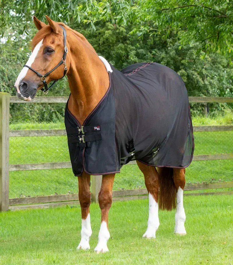 Premier Equine Ventoso Mesh Cooler in Black