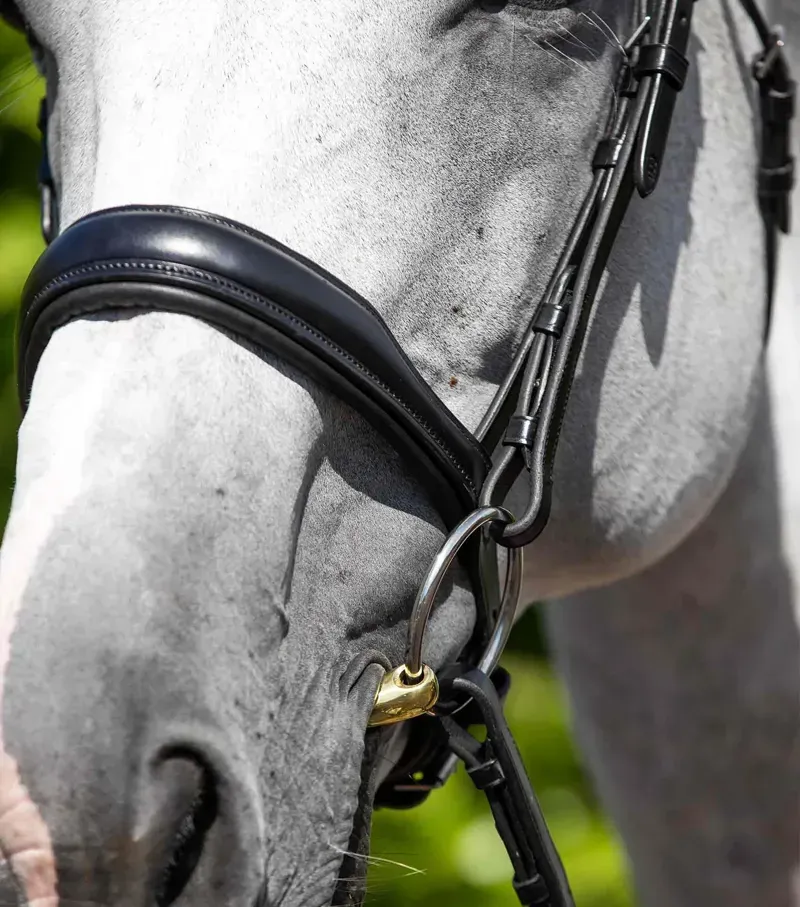 Premier Equine Verdura Anatomic Snaffle Bridle in Black-1