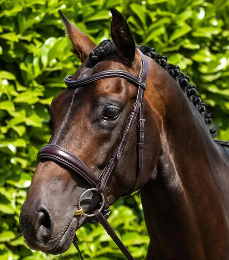 Premier Equine Verdura Anatomic Snaffle Bridle in Brown