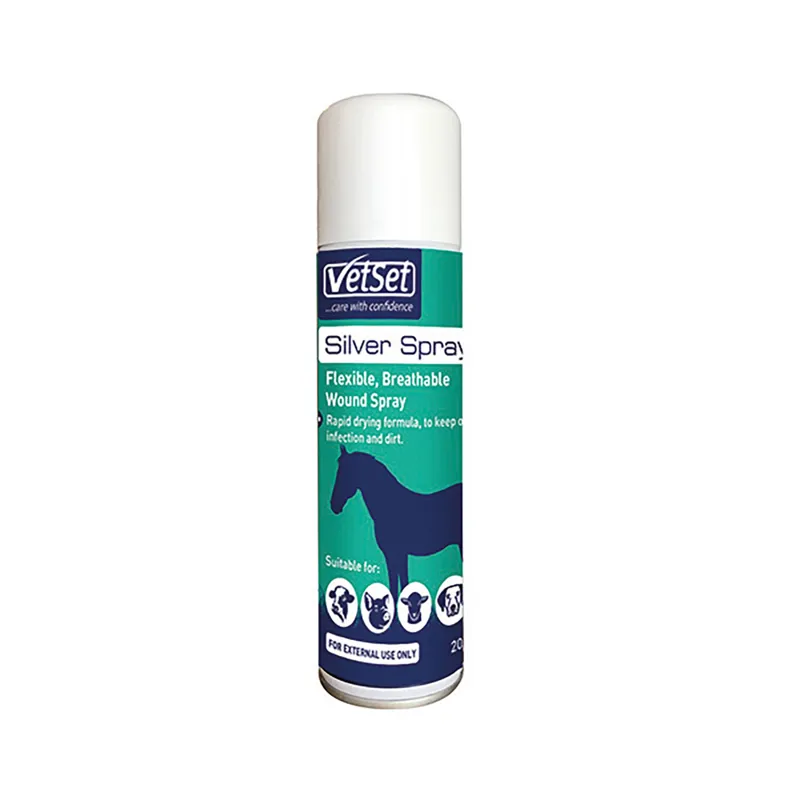 Vetset 200ml Aluminium Silver Spray