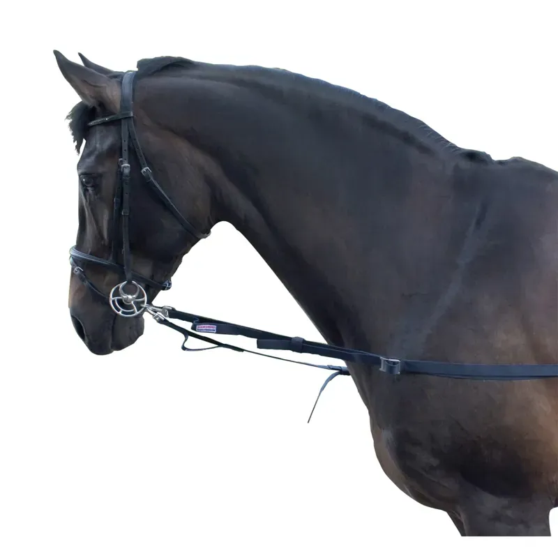 Whitaker Elasticated Side Reins in Blue
