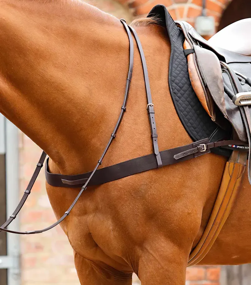 Premier Equine Zimella Elastic Breastgirth in Brown